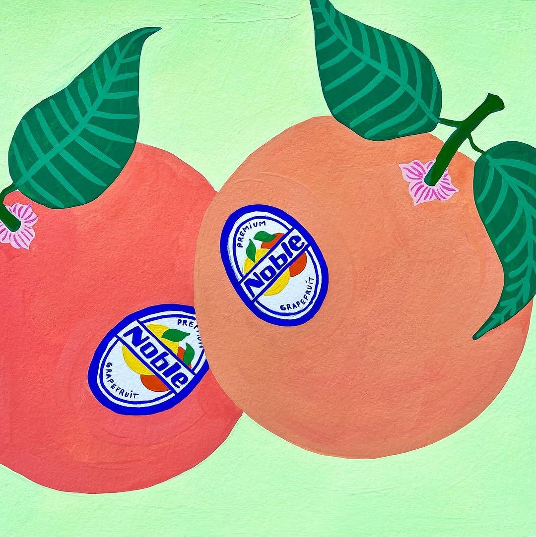 Deux oranges avec leurs étiquettes, sur fond vert pâle